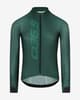 Maillot Q36.5 Gregarius Hybrid Signature manga larga verde oscuro
