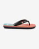 Chanclas Quiksilver Molokai Art Beach naranja azul niño