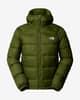 Chaqueta con capucha The North Face Hydrenalite Down verde bosque