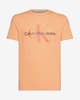 Camiseta Calvin Klein Jeans Seasonal Monologo manga corta naranja rojo