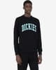 Sudadera Dickies Aitkin negro