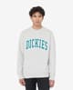 Sudadera Dickies Aitkin blanco grisáceo