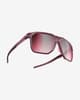 Gafas Dynafit Traverse Evo rosáceo con lentes Divel Cat 3 rosa