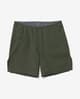 Houdini Pace Wind Shorts Grün
