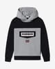 Sudadera con capucha Napapijri Burgee W 1 gris claro oscuro infantil