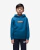 Napapijri Chamois Hoodie Blue Kids