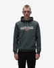 Sudadera con capucha Napapijri Aylmer Winter gris oscuro blanco