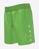 Bañador Nike Swim Volley Short 5 Inch infantil verde