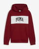 Sudadera con capucha Puma Squad rojo blanco junior
