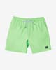 Bañador Quiksilver Everyday Solid Volley verde niño