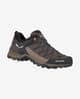 Buty Salewa MTN Trainer Lite GORE-TEX Brązowo-czarne