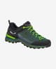 Buty Salewa MTN Trainer Lite GORE-TEX Niebieskie Zielone