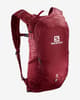 Salomon Trailblazer 10L Backpack Red