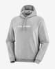 Sudadera con capucha Salomon Logo Performance gris claro