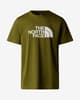 The North Face Easy Short Sleeve T-shirt fir green white logo