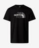 T-shirt The North Face Easy short sleeve pure black grey