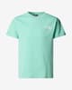The North Face Simple Dome T-shirt short sleeve pale turquoise green Kids