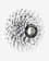 Pacco pignoni SRAM PG-1070 10v 11/36