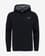 Sweatshirt The North Face Seasonal Drew Peak Pullover Light preto