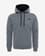 The North Face Seasonal Drew Peak Hoodie Grey