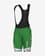 Culote Bardiani CSF Faizanè Pro Team 2023 PR-System verde negro