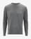 Camiseta Altus Isella H30 manga larga gris