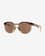 Gafas Oakley HSTN Dark Amber/Light Curry lentes Prizm Tungsten