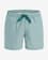Bañador Quiksilver Everyday Deluxe Volley 15 azul agua