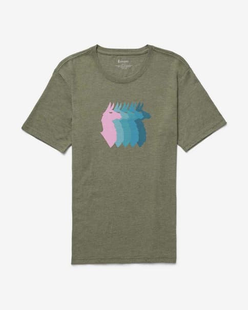 Camiseta Cotopaxi Llama Sequence Organic manga corta verde