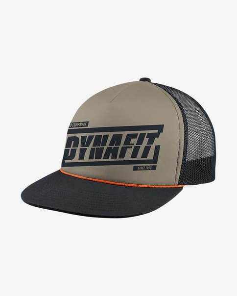 Gorra Dynafit Graphic Trucker beige grisáceo