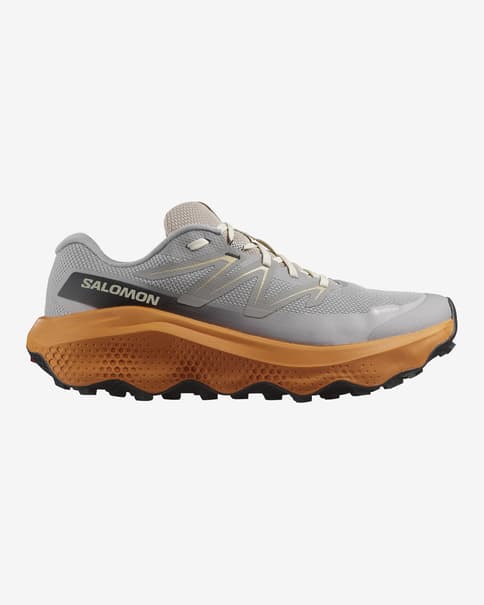 Salomon Ultra Flow 2 GORE-TEX schoenen grijs oranje