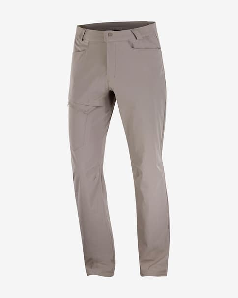 Pantalón largo Salomon Wayfarer - Corte Long gris oscuro beige