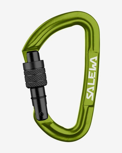 Mosquetón Salewa Hot G3 Screw verde