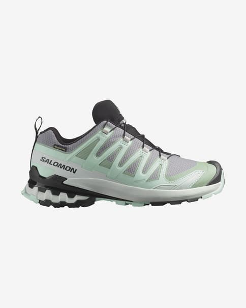 Salomon XA PRO 3D v9 GORE-TEX shoes grey green Women
