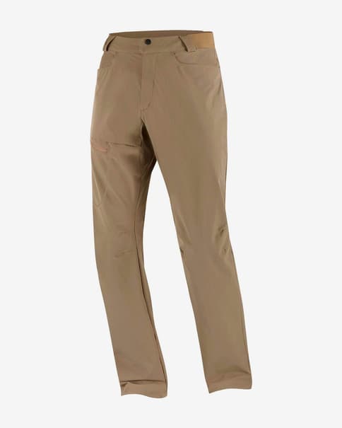 Pantalón largo Salomon Wayfarer Regular marrón claro