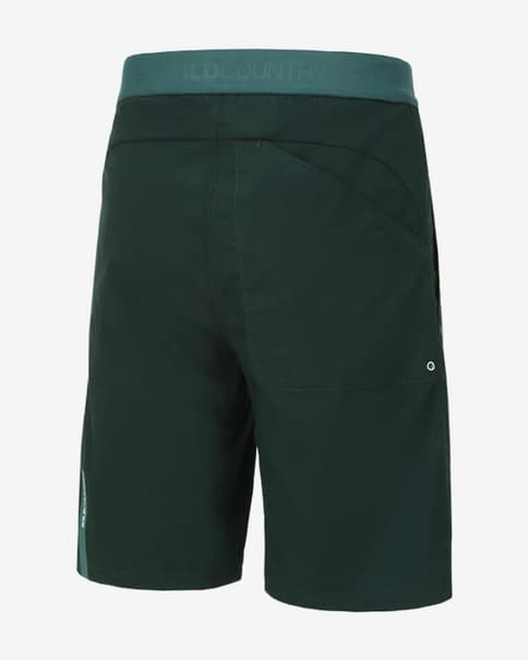 Wild Country Session Shorts grün