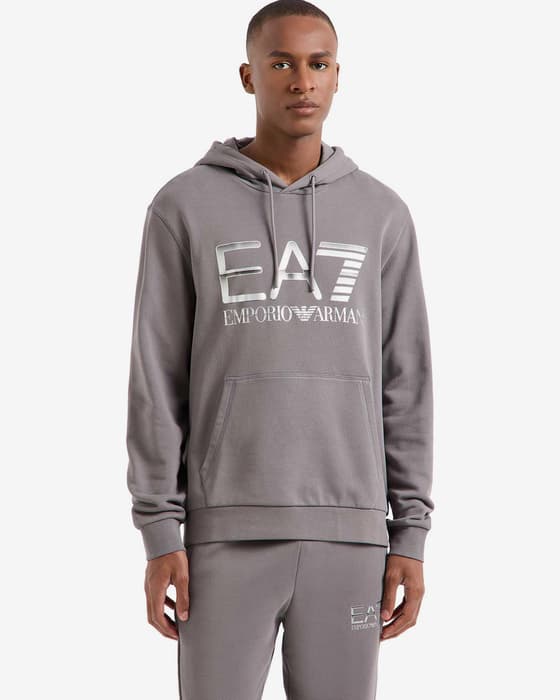 Sudadera con capucha EA7 Logo Series Metallic gris plateado