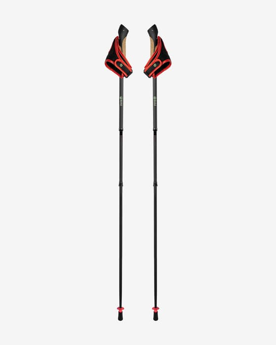 Reld Tekapo Carbon Walking Poles black (pair)