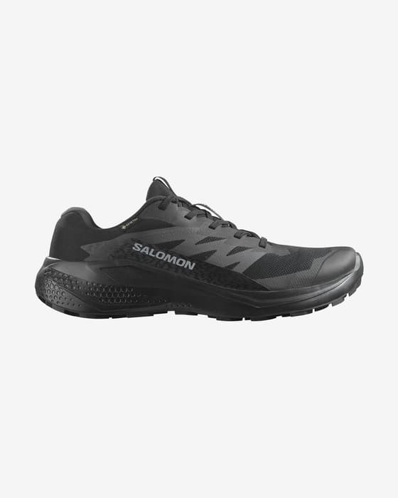 Zapatillas Salomon Alphaglide GORE-TEX negro puro