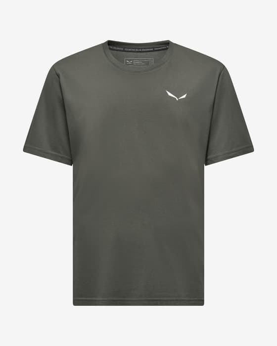 Camiseta Salewa Eagle Vocab manga corta verde cromo