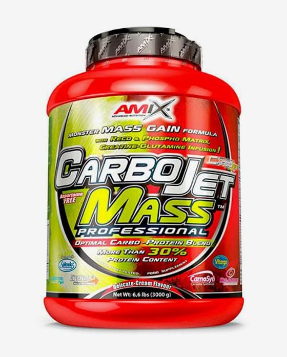 Bote Amix CarboJet Mass Professional sabor frutas del bosque 3 kg