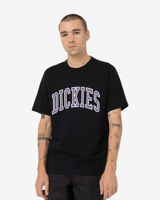 Camiseta Dickies Aitkin manga corta negro lila