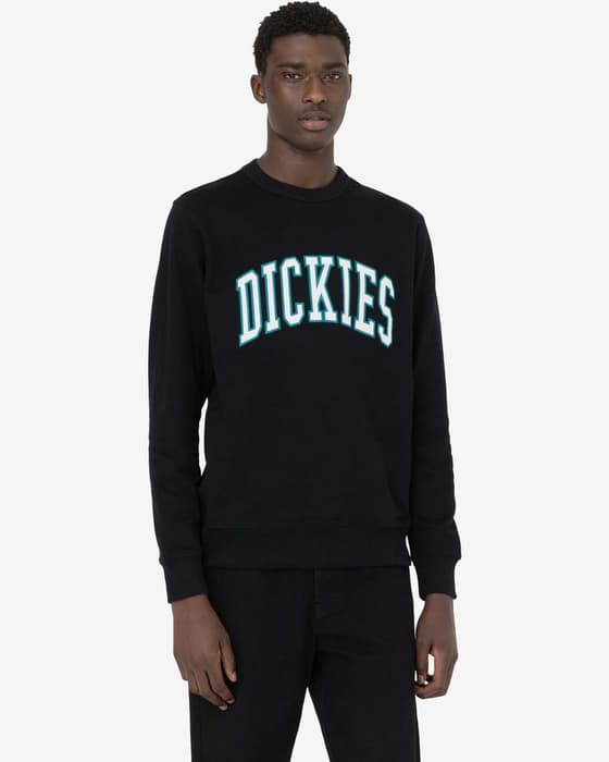 Sudadera Dickies Aitkin negro