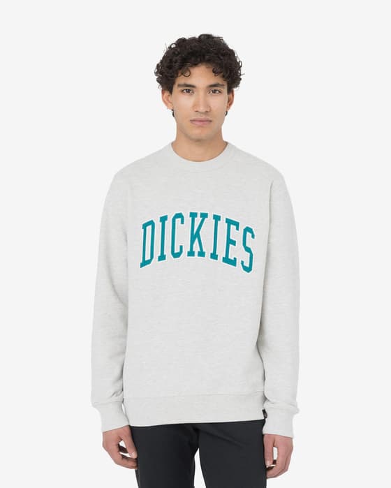 Sudadera Dickies Aitkin blanco grisáceo