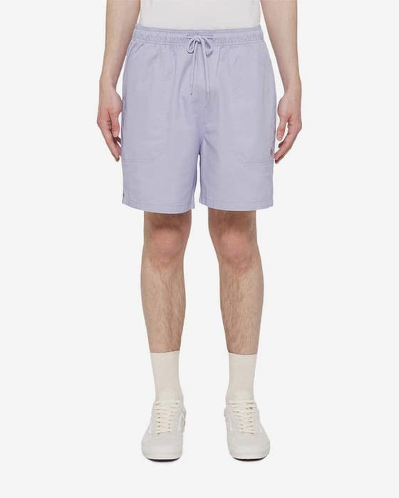 Pantalón corto Dickies Pelican Rapids violeta claro azulado