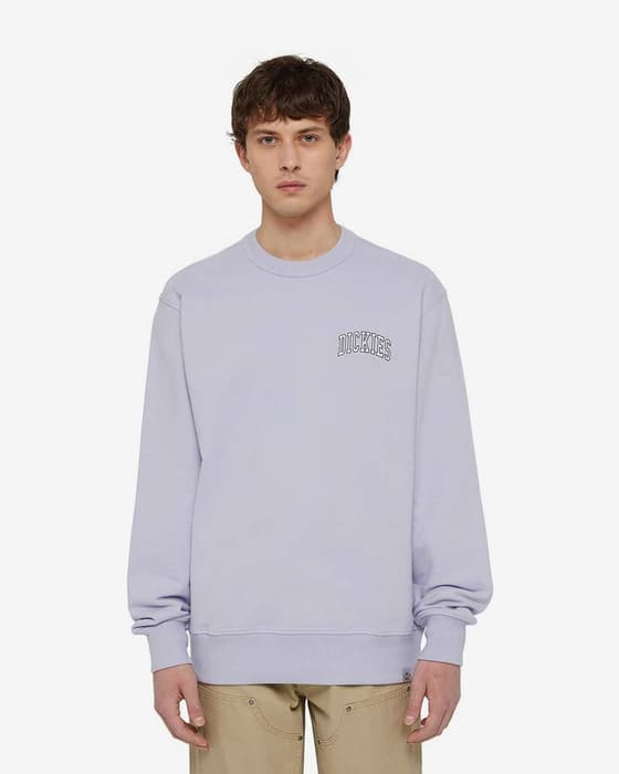 Sudadera Dickies Aitkin Logo pequeño violeta claro