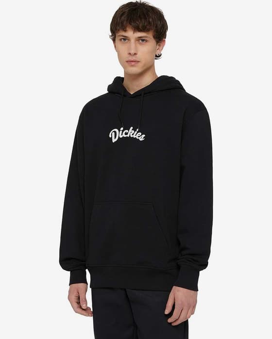 Sudadera con capucha Dickies Shawsville negro intenso