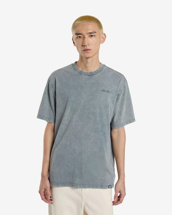 T-shirt Dickies Plentywood manica corta grigio pietra