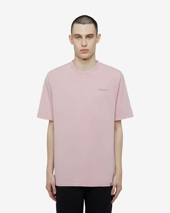 T-shirt Dickies Plentywood manica corta rosa pallido