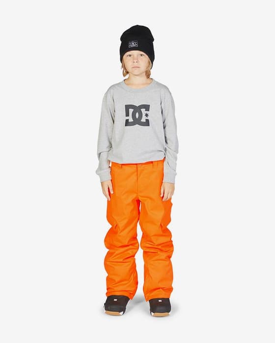 Pantalón largo DC Shoes Banshee naranja infantil